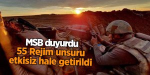 55 Rejim unsuru etkisiz hale getirildi