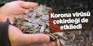 Samsunlular Çin çekirdeğini tercih etmiyor