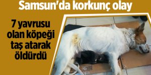 Samsun'da korkunç olay