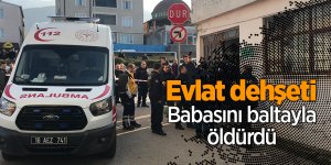 Babasını baltayla öldürdü