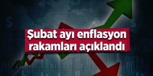 Şubat ayı enflasyon rakamları açıklandı
