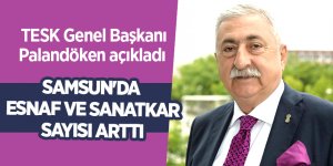Samsun'da esnaf ve sanatkar sayısı arttı