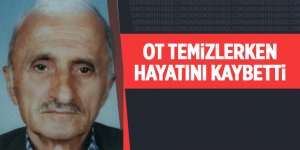 Ot temizlerken hayatını kaybetti