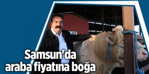 Şampiyon 23 bin TL'den satışa çıktı