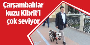 Çarşambalılar kuzu Kibrit'i çok seviyor