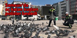 Samsun'da aç kalan kuşlara trafik polisleri yem verdi