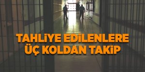 Cezaevinden çıkanlara bakanlıklardan sıkı tedbir