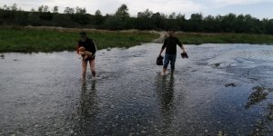 Samsun'da yaralanan yavru köpeğinin imdadına hayvanseverler koştu