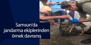 Samsun'da jandarma ekiplerinden örnek davranış