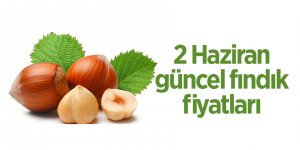 2 Haziran güncel fındık fiyatları