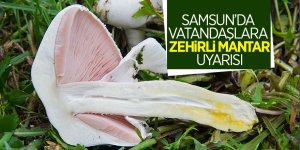 Samsun’da vatandaşlara zehirli mantar uyarısı