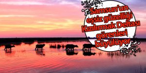 Samsun’un eşsiz güzelliği Kızılırmak Deltası görenleri büyülüyor