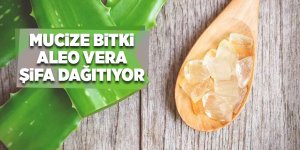 Güzelliğin anahtarı aleo veranın faydaları