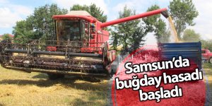 Bafra Ovası’nda biçerdöverler tarlalara girdi