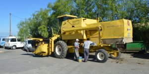 Havza'da sanayi sitesinde hasat hareketliliği yaşanıyor