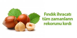 Fındık ihracatı yüz güldürmeye devam ediyor