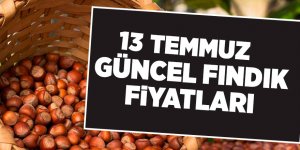 13 Temmuz güncel fındık fiyatları - samsun haber