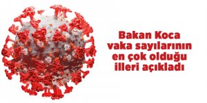 Türkiye'nin 13 Temmuz Korona virüs tablosu - samsun haber