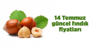 14 Temmuz güncel fındık fiyatları - samsun haber