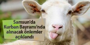 Samsun'da Kurban Bayramı'nda alınacak önlemler açıklandı - samsun haber
