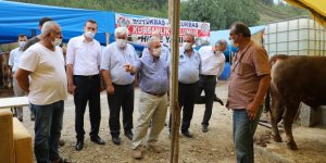 İlkadım'da kurban pazarlarına ücretsiz servis - samsun haber