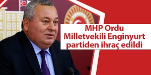 MHP Ordu Milletvekili Enginyurt partiden ihraç edildi - samsun haber