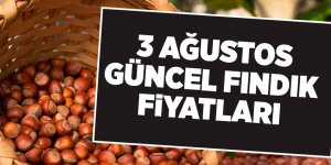 3 Ağustos güncel fındık fiyatları - samsun haber