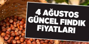4 Ağustos güncel fındık fiyatları - samsun haber