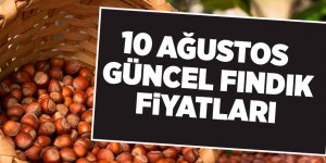 10 Ağustos güncel fındık fiyatları - samsun haber