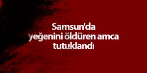Samsun'da yeğenini öldüren amca tutuklandı - samsun haber