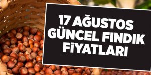 17 Ağustos güncel fındık fiyatları - samsun haber