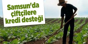 Samsun'da çiftçilere kredi desteği - samsun haber
