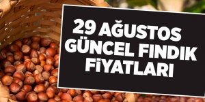 29 Ağustos güncel fındık fiyatları - samsun haber