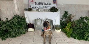 Samsun'da dev uyuşturucu operasyonu: 15 kişi gözaltına alındı - samsun haber