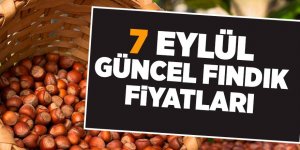 7 Eylül güncel fındık fiyatları - samsun haber