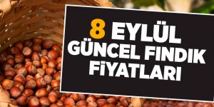 8 Eylül güncel fındık fiyatları - samsun haber