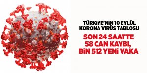 Türkiye'nin 10 Eylül Korona virüs tablosu - samsun haber