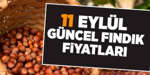 11 Eylül güncel fındık fiyatları - samsun haber
