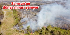 Kızılırmak Deltası Kuş Cenneti'nde yangın çıktı