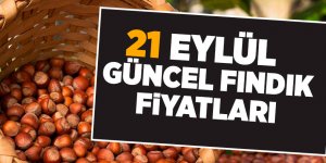 21 Eylül güncel fındık fiyatları - samsun haber