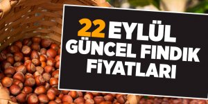 22 Eylül güncel fındık fiyatları - samsun haber
