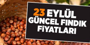 23 Eylül güncel fındık fiyatları - samsun haber