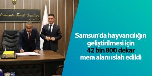 Samsun'da hayvancılığın geliştirilmesi için 42 bin 800 dekar mera alanı ıslah edildi