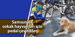 Samsun'da sokak hayvanları için pedal çevirdiler - samsun haber