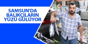 Samsun'da balıkçılar av sezonundan memnun - samsun haber