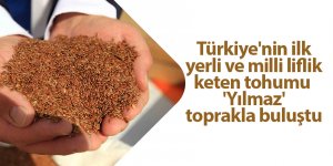 Türkiye'nin ilk yerli ve milli liflik keten tohumu 'Yılmaz' toprakla buluştu - samsun haber