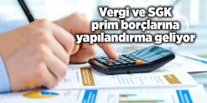 AK Parti Grup Başkanvekili Mehmet Muş açıkladı