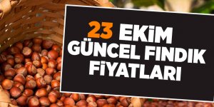 23 Ekim güncel fındık fiyatları - samsun haber