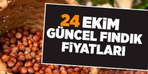 24 Ekim güncel fındık fiyatları - samsun haber