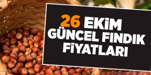26 Ekim güncel fındık fiyatları - samsun haber